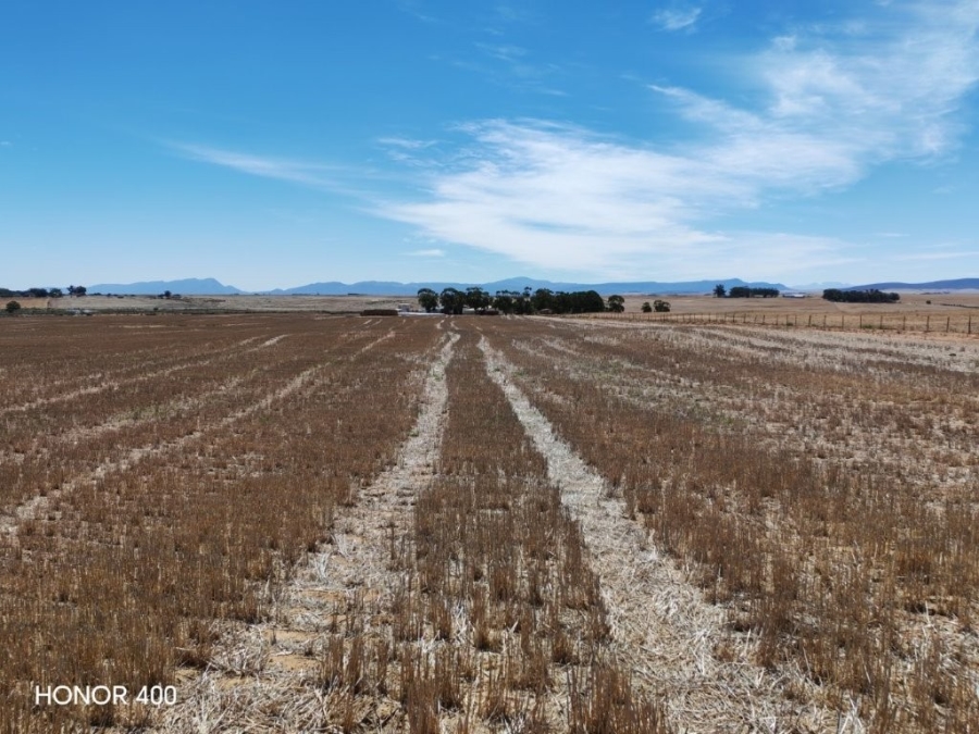 0 Bedroom Property for Sale in Hopefield Rural Western Cape